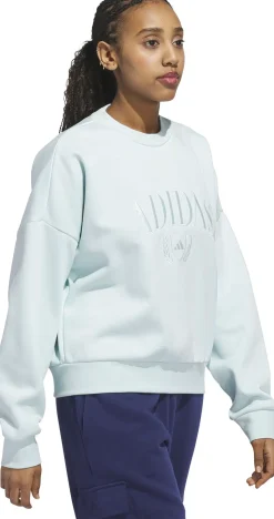 adidas Sportswear collegepaita