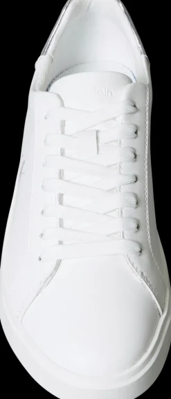 Calvin Klein Low lace up tennarit