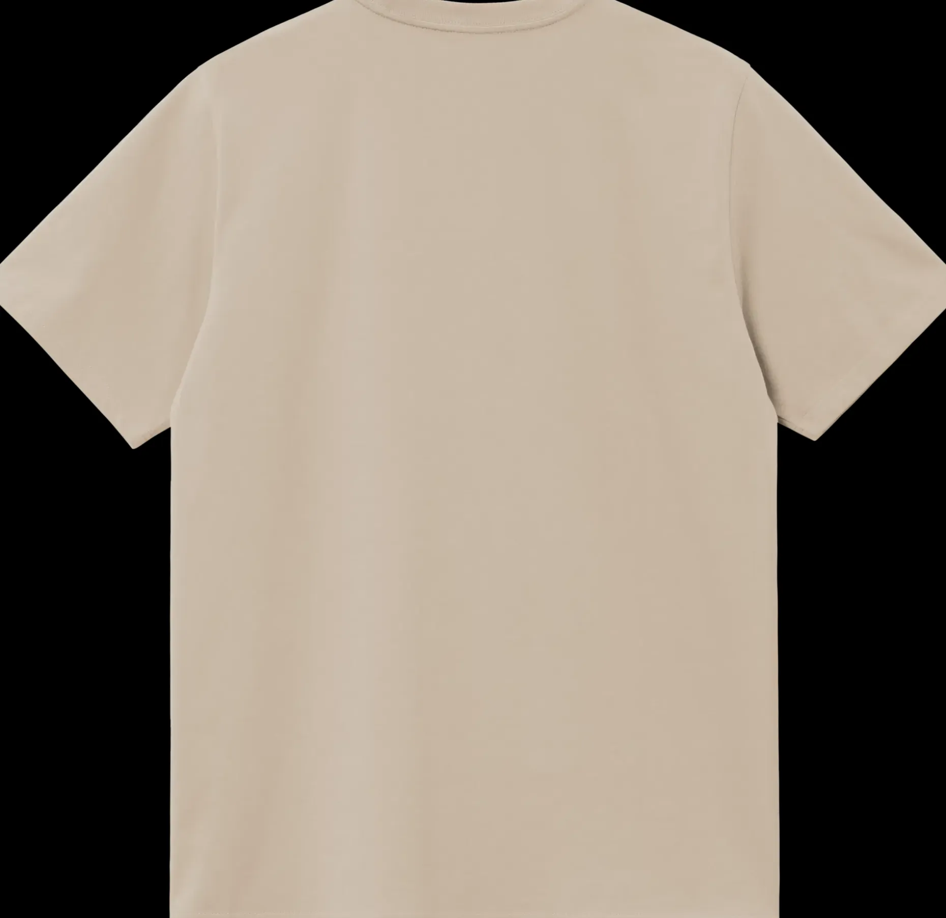 Carhartt WIP S/s script embroidery t-paita