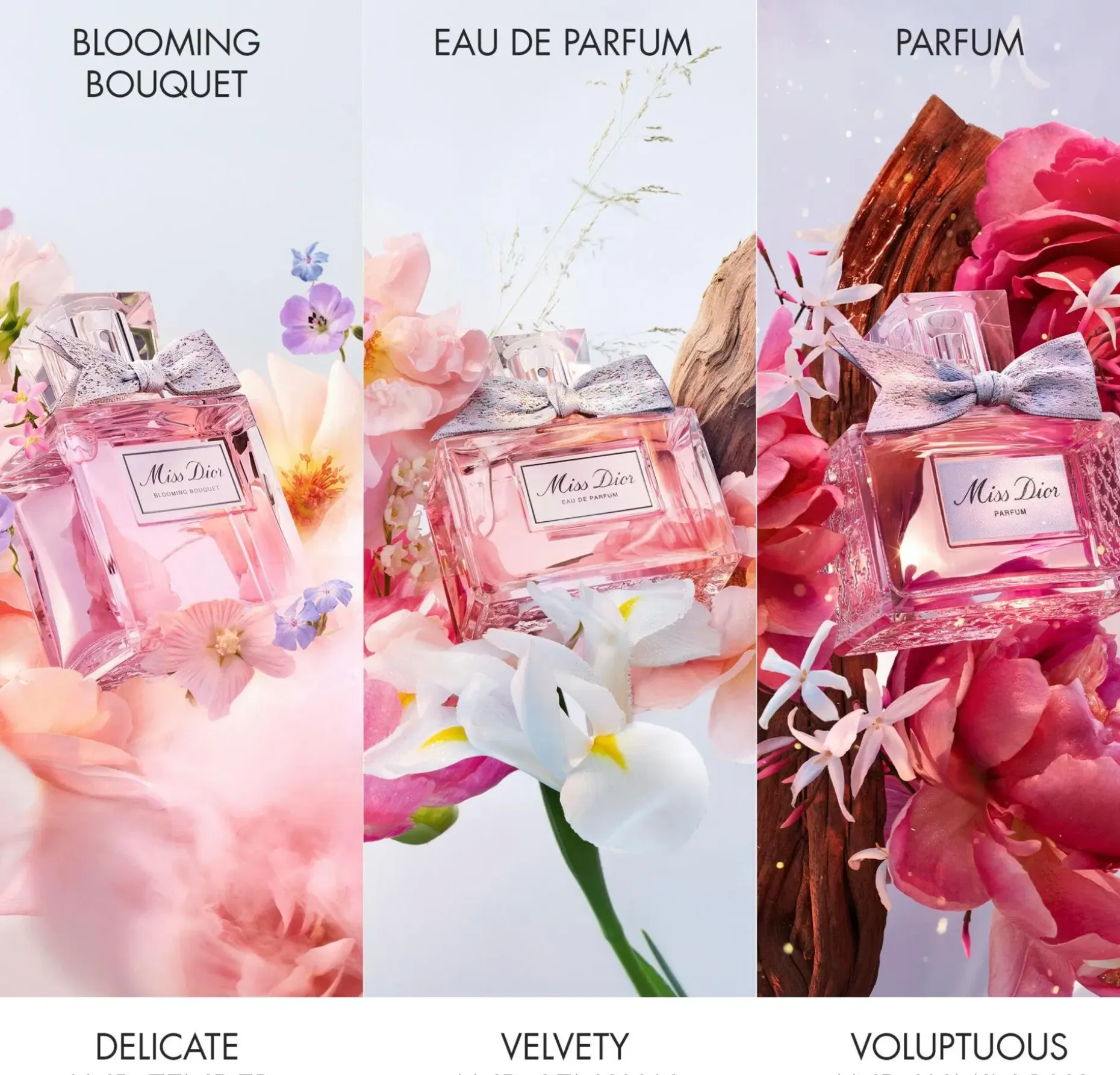 DIOR Miss Dior Blooming Bouquet EdT tuoksu 30 ml
