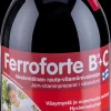 Ferroforte B + C vahva nestemäinen rauta-vitamiinivalmiste 500 ml