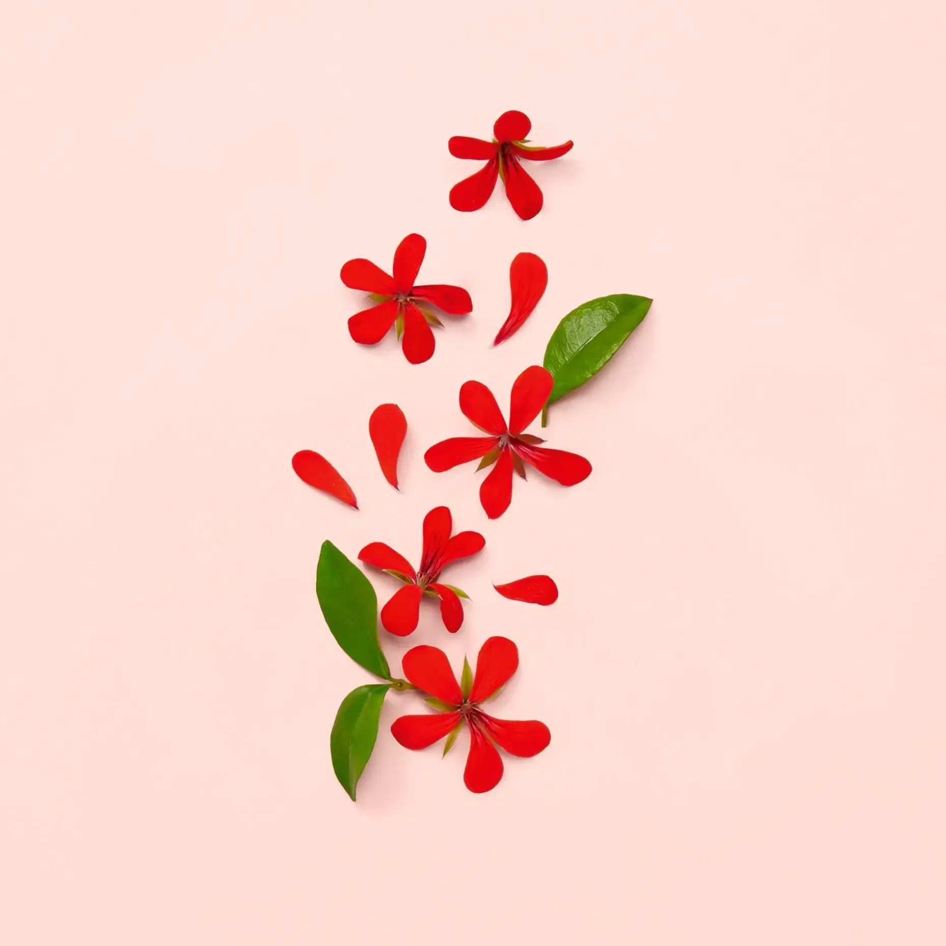 Gucci Bloom EdP tuoksu 30 ml