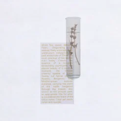 KORRES White Tea Eau de Toilette 100ml