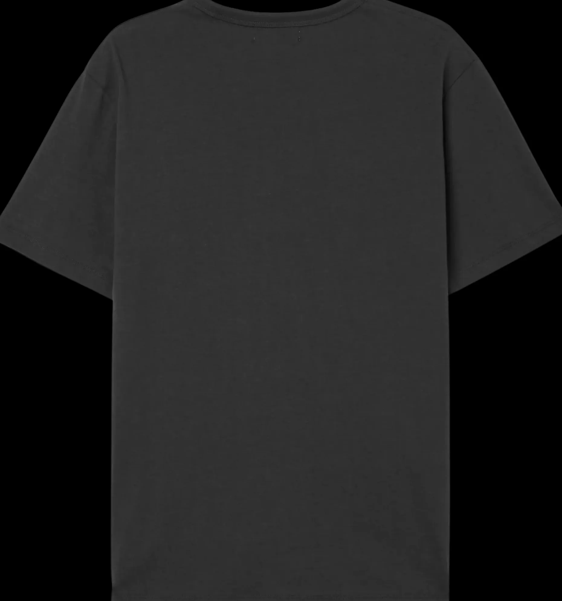 NORVIE beiron t-paita