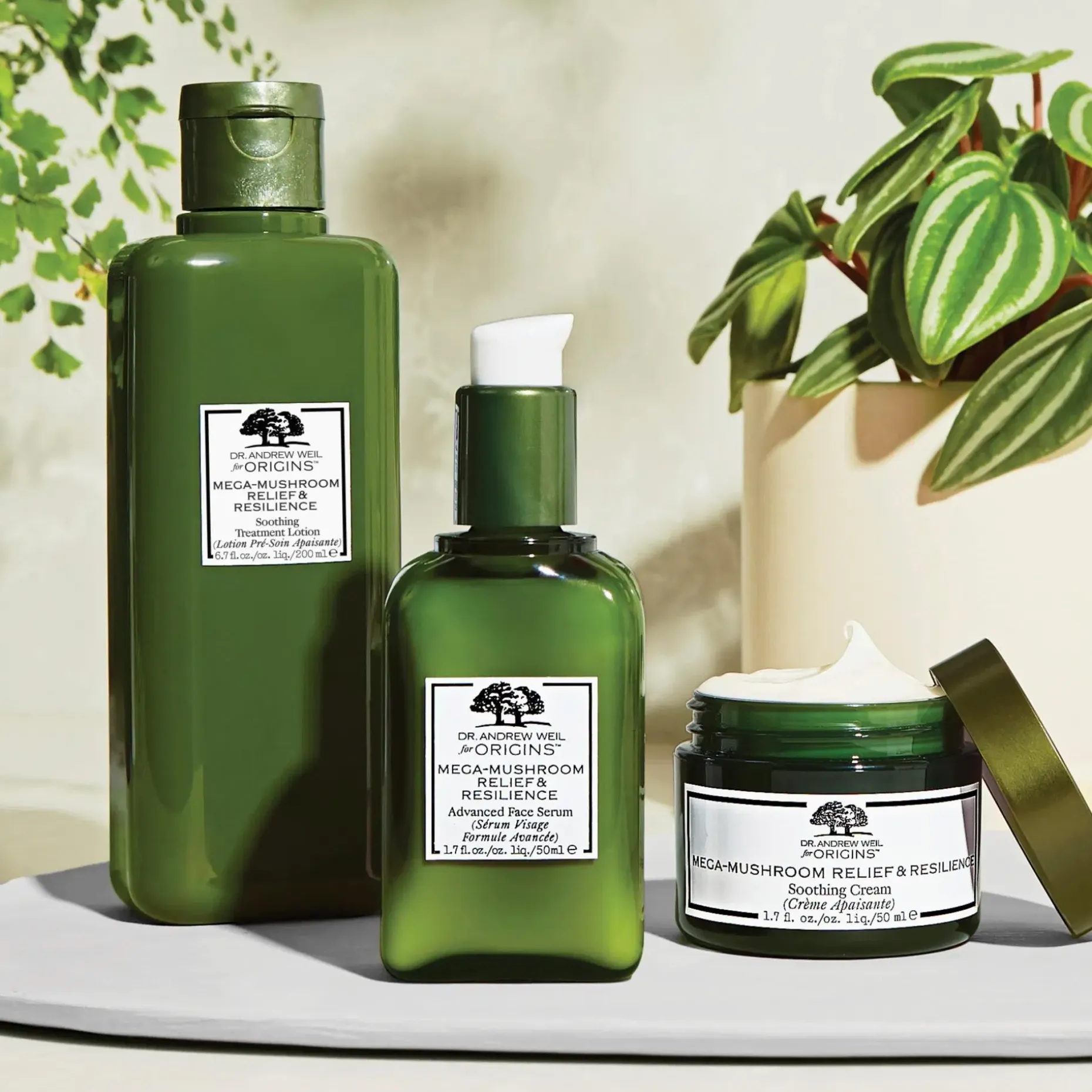 Origins Mega-Mushroom™ Skin Relief Soothing Face Cream rauhoittava kasvovoide 50 ml