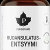 Puhdistamo Ruoansulatusentsyymi 60 kaps